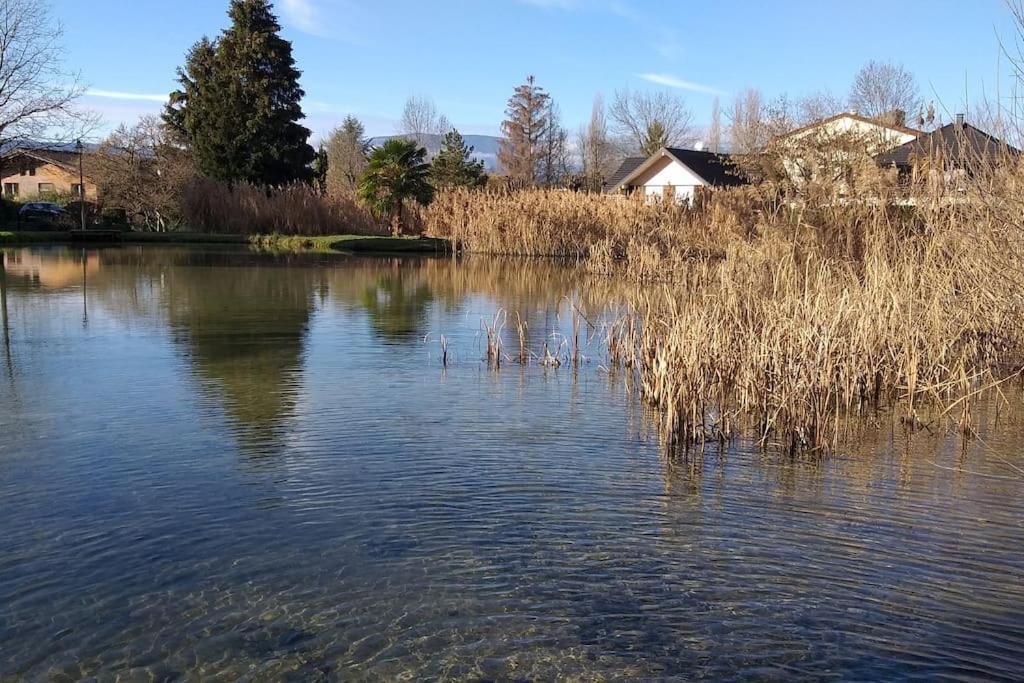 La Dependance Du Chateau De Triviers. Challes-les-Eaux Exterior foto
